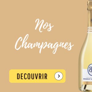Bouteille à Champagne couronne 75cl blanc Grand Cru